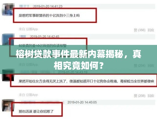 榕树贷款事件最新内幕揭秘，真相究竟如何？