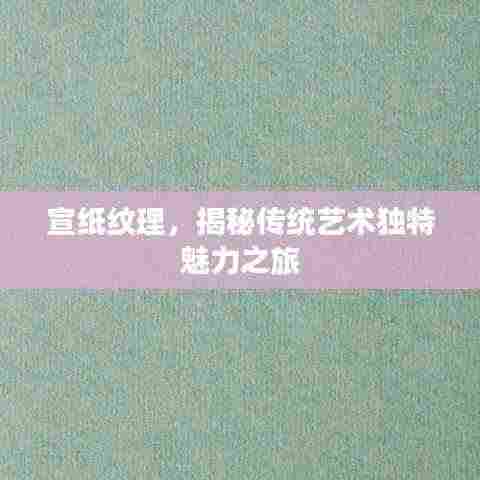 宣纸纹理，揭秘传统艺术独特魅力之旅