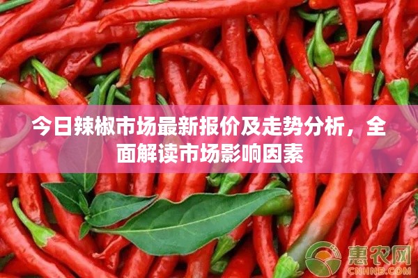 今日辣椒市场最新报价及走势分析，全面解读市场影响因素