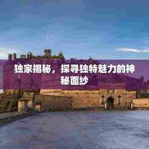 独家揭秘，探寻独特魅力的神秘面纱