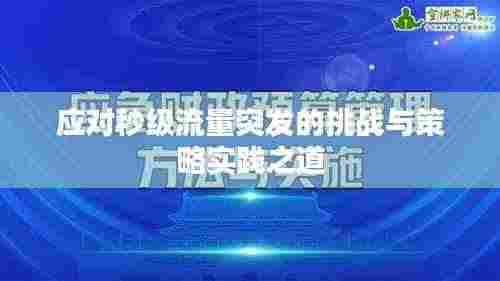 应对秒级流量突发的挑战与策略实践之道