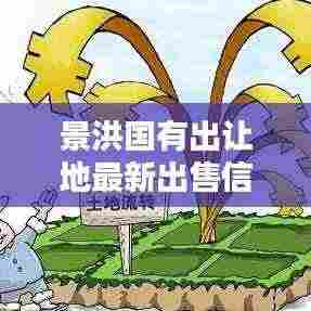 景洪国有出让地最新出售信息概览