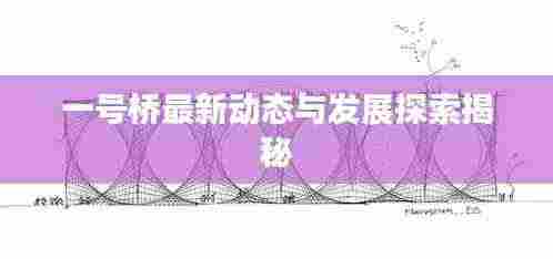 一号桥最新动态与发展探索揭秘