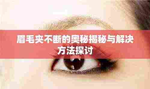 眉毛夹不断的奥秘揭秘与解决方法探讨