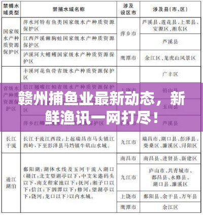 赣州捕鱼业最新动态，新鲜渔讯一网打尽！