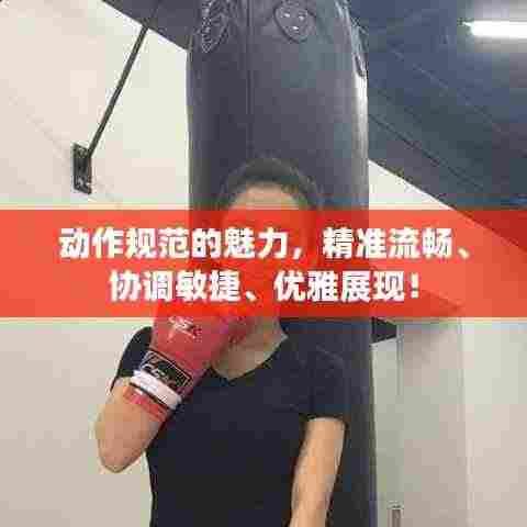 动作规范的魅力，精准流畅、协调敏捷、优雅展现！