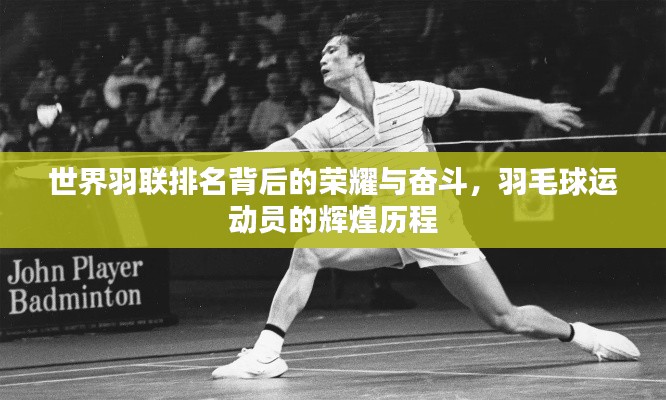 世界羽联排名背后的荣耀与奋斗，羽毛球运动员的辉煌历程
