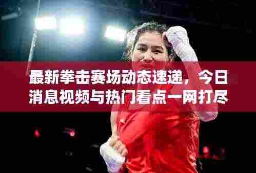 最新拳击赛场动态速递，今日消息视频与热门看点一网打尽