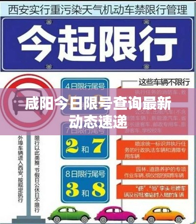 指手画脚 第3页