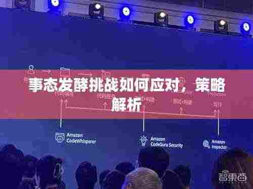 事态发酵挑战如何应对，策略解析