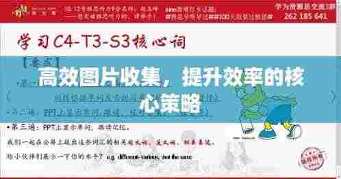高效图片收集，提升效率的核心策略