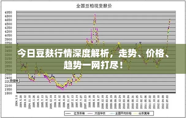 今日豆麸行情深度解析，走势、价格、趋势一网打尽！