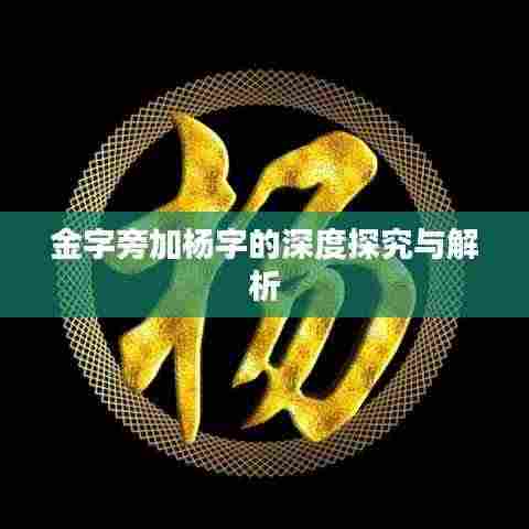 金字旁加杨字的深度探究与解析