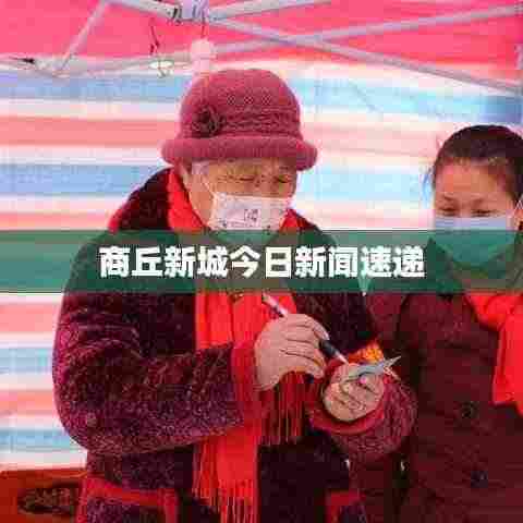 商丘新城今日新闻速递