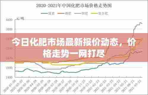 今日化肥市场最新报价动态，价格走势一网打尽
