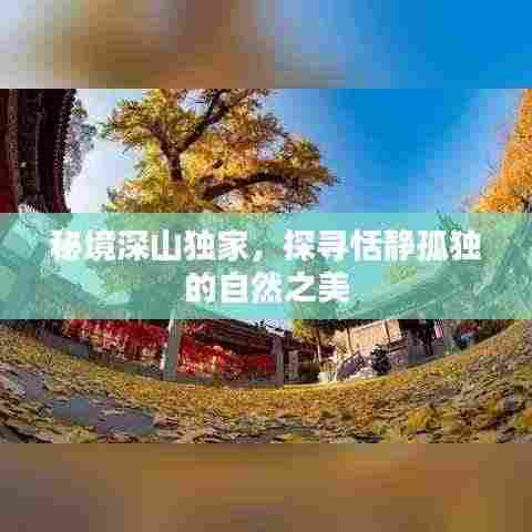 秘境深山独家，探寻恬静孤独的自然之美