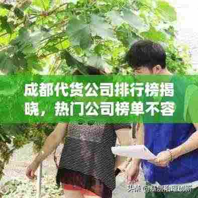 成都代货公司排行榜揭晓，热门公司榜单不容错过！