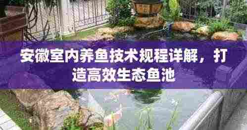 安徽室内养鱼技术规程详解，打造高效生态鱼池