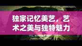 独家记忆美艺，艺术之美与独特魅力的完美交融探索