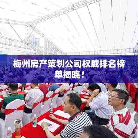 梅州房产策划公司权威排名榜单揭晓！