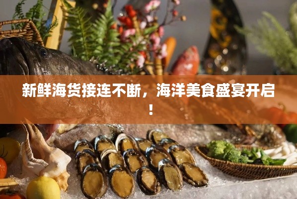 新鲜海货接连不断，海洋美食盛宴开启！