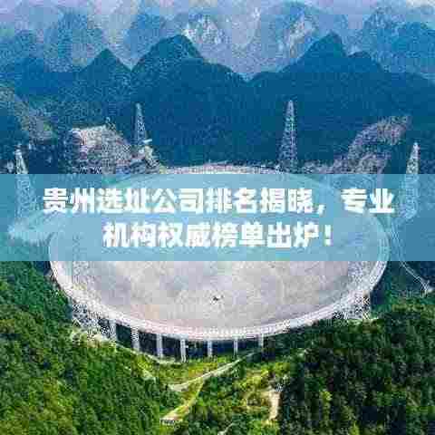 贵州选址公司排名揭晓，专业机构权威榜单出炉！