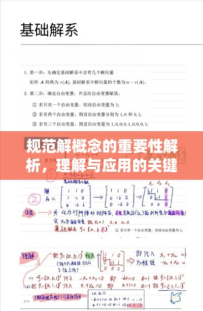 规范解概念的重要性解析，理解与应用的关键基石