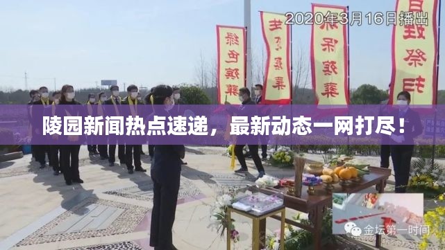 陵园新闻热点速递，最新动态一网打尽！