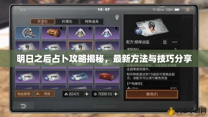 明日之后占卜攻略揭秘，最新方法与技巧分享