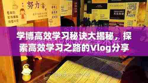 学博高效学习秘诀大揭秘，探索高效学习之路的Vlog分享