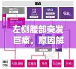 左侧腰部突发巨痛，原因解析、诊断流程与治疗方案