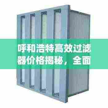 呼和浩特高效过滤器价格揭秘，全面解析市场行情，优质实惠的选择！