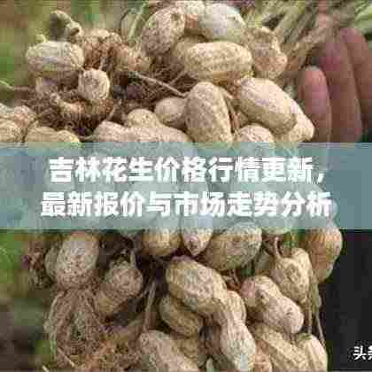 吉林花生价格行情更新，最新报价与市场走势分析