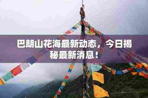 巴朗山花海最新动态，今日揭秘最新消息！