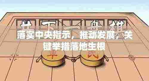 落实中央指示，推动发展，关键举措落地生根