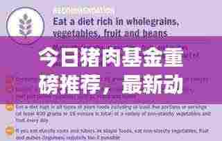 今日猪肉基金重磅推荐，最新动态、策略分析与盈利潜力探讨