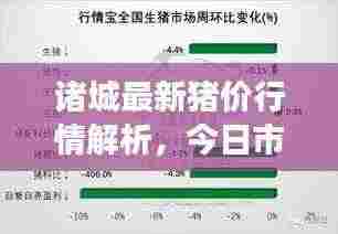 诸城最新猪价行情解析，今日市场走势分析