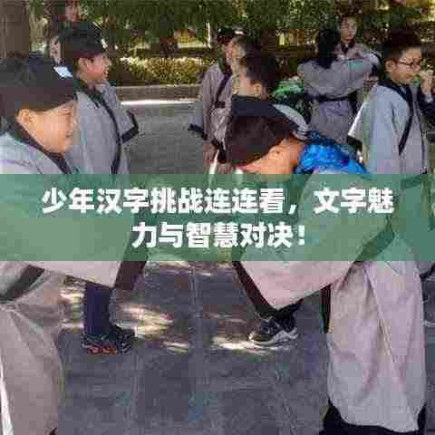 少年汉字挑战连连看,文字魅力与智慧对决!