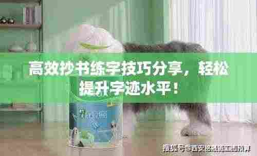 高效抄书练字技巧分享，轻松提升字迹水平！