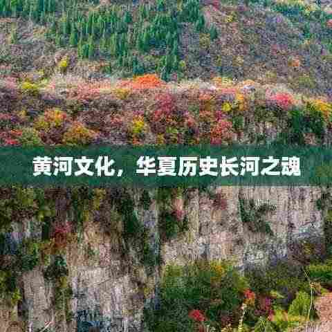 黄河文化，华夏历史长河之魂