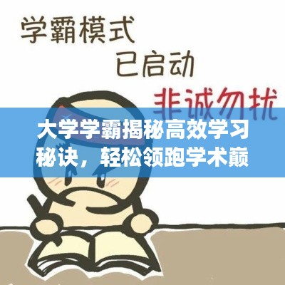 大学学霸揭秘高效学习秘诀，轻松领跑学术巅峰！