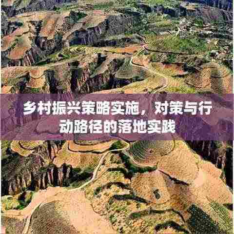 乡村振兴策略实施，对策与行动路径的落地实践