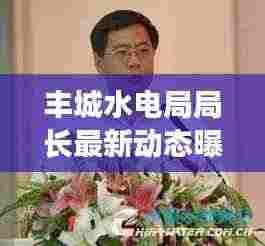 丰城水电局局长最新动态曝光，揭秘最新消息！