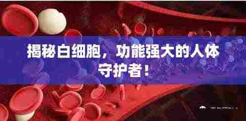 揭秘白细胞，功能强大的人体守护者！