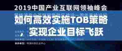 如何高效实施TOB策略，实现企业目标飞跃