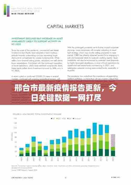 邢台市最新疫情报告更新，今日关键数据一网打尽