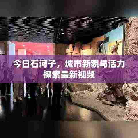 今日石河子，城市新貌与活力探索最新视频
