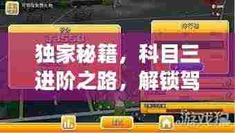 独家秘籍，科目三进阶之路，解锁驾驶技能新境界！