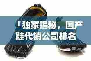 「独家揭秘，国产鞋代销公司排名，行业领军者的力量不容小觑」