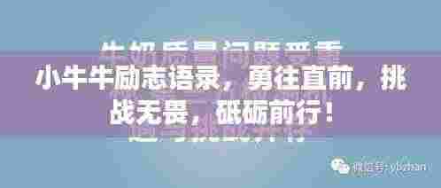 小牛牛励志语录，勇往直前，挑战无畏，砥砺前行！